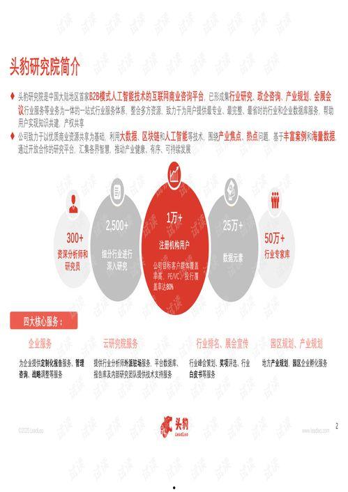 亚洲精品2020在线,璀璨绽放，引领潮流的年度盛宴